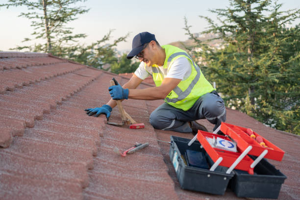 Best Roof Gutter Cleaning  in Dover Beaches South, NJ